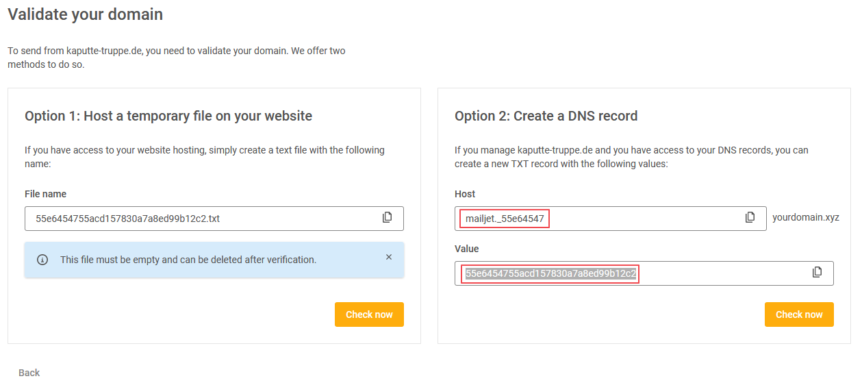 Data to use for creating TXT DNS record